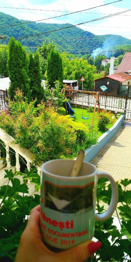 Casa Giulia Hotel Băile Olăneşti Екстериор снимка