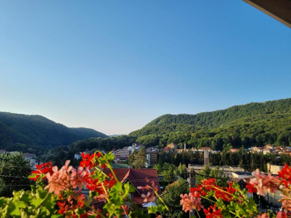 Casa Giulia Hotel Băile Olăneşti Екстериор снимка